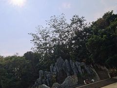 -西双版纳勐泐文化旅游区