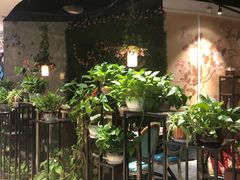 -舌尖上的食缘花园主题餐厅