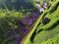 -青城山