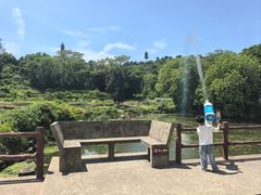 -巢湖姥山岛