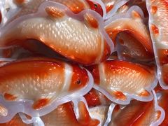 -乔家栅(大木桥路店)