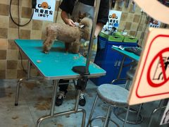 -我爱吾宠宠物美容院(朝阳路店)