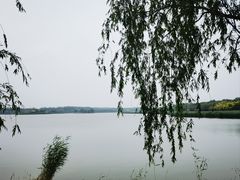-西青郊野公园