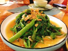 飞天空心菜-苏梅花园(群星城店)