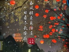 -大唐不夜城