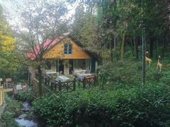 -莫干山风景区