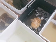 -灵龟之家百象馆(百象馆联合旗舰店)