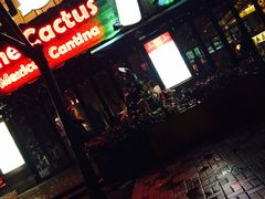 -Cactus墨西哥仙人掌餐厅