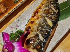 -酒井酱子·深夜食堂(东城汇店)
