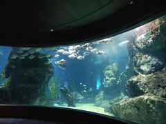 -暹罗海洋世界