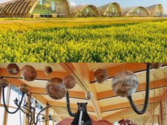 -中国天府农业博览园