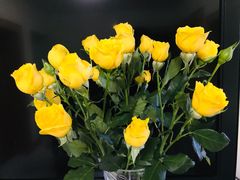 -双季花艺园艺市场(浦东店)