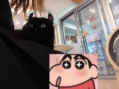 -MOYOYO猫咪咖啡店