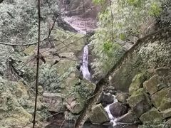 -凤栖山