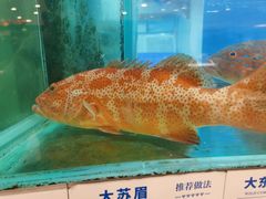 -南海渔村(珠江新城店)