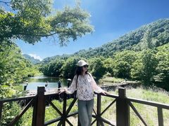 -三块石国家森林公园