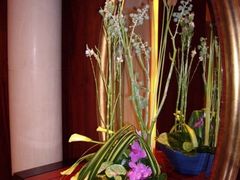 -FEI FEI FLOWER鲜花店·气球派对·宝宝宴布置(虹口德必运动Loft店)