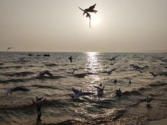 -老虎石海上公园