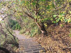 -白草畔自然风景区