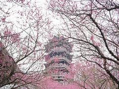 -洋湖国家湿地公园