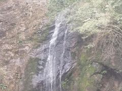 -江西阳明山国家森林公园