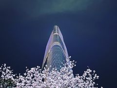 -紫峰大厦