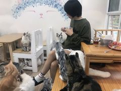 -李小姐の猫咖啡馆(五角场店)