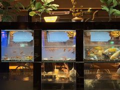 -蚝翅·海鲜粥·烧烤·龙虾季(海曙天一店)
