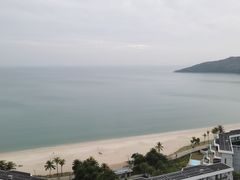 -广东惠东海龟国家级自然保护区