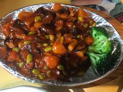 -素虎小呆鸟(西二旗店)