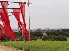 -光明小镇欢乐田园