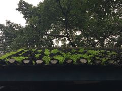 -白公馆