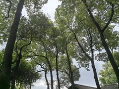 -绍兴古城