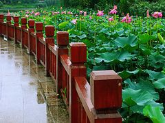 -江南大学(蠡湖校区)