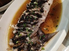 -洞庭家宴·头牌甲鱼(广渠门店)