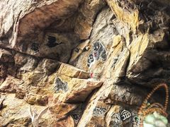 -陕西省红河谷森林公园