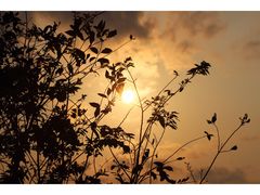 -那琴半岛地质海洋公园