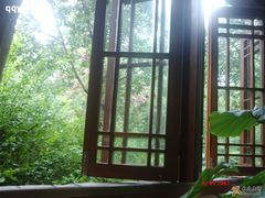 再来一张外面的景色-山外山·林语花园餐厅