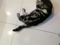 -平行世界·猫咖(首经贸店)