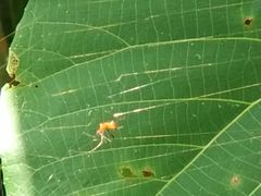 -龙坑生态保护区