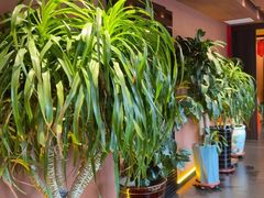 -隐炉和牛烧肉店(群力店)