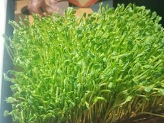 -煲宫猪肚鸡(晶品店)