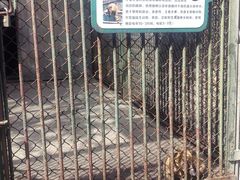 -合肥野生动物园