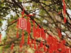 -南阳卧龙岗武侯祠