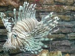 -北戴河圣蓝海洋公园