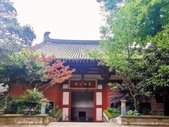 -灵谷景区