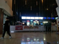 -幸福蓝海国际影城(河西店)