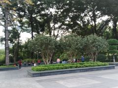 -深圳龙潭公园