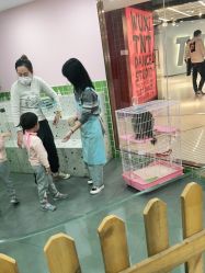 -Moni星球萌宠·小马宝莉·灵蛇·高端高阶全萌宠互动体验俱乐部(红豆国际广场店)