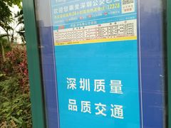 -梧桐山风景名胜区